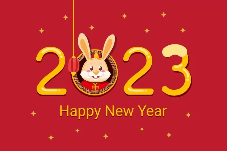 holidaypac happy chinese new year
