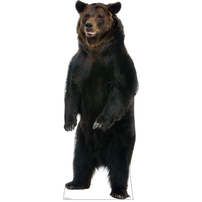 Brown Bear Lifesize Cardboard Standup for Yard Lawn Decor Props