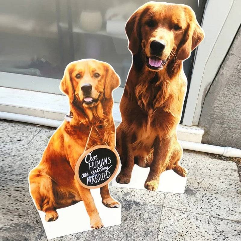 custom pet cardboard cutouts