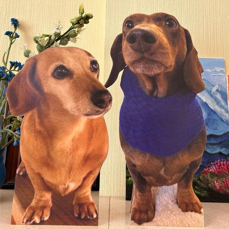 Life Size Cardboard Cutout for Dog and Cat Manufacturer