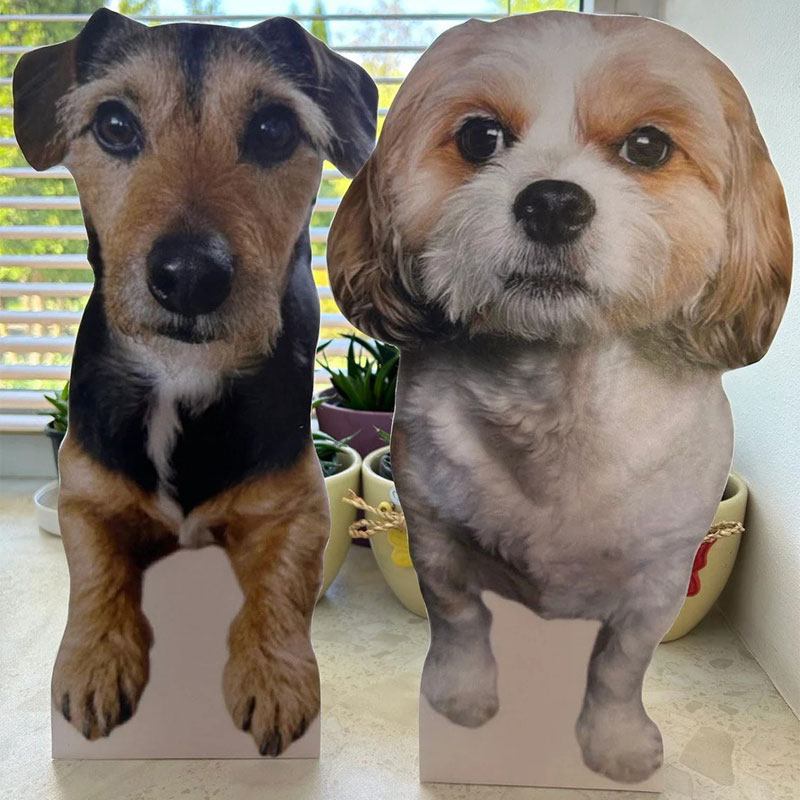 Life Size Cardboard Cutout for Dog and Cat Manufacturer