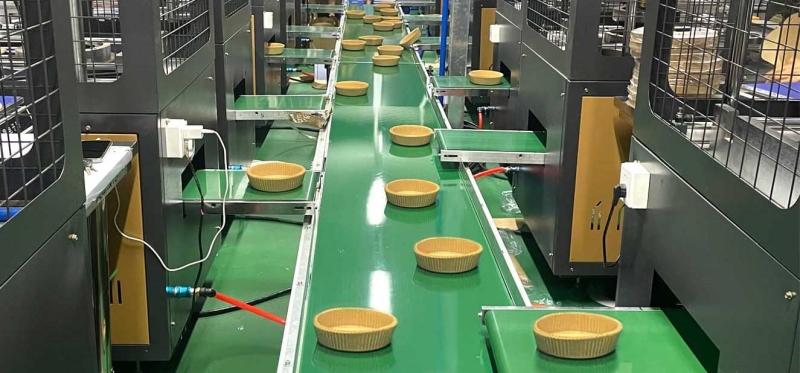 Factory-Direct Quality from Holidaypac